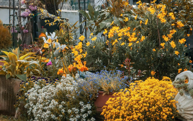 Cosy apartment Klara