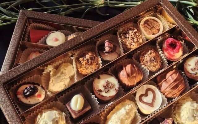Chocolate hostel