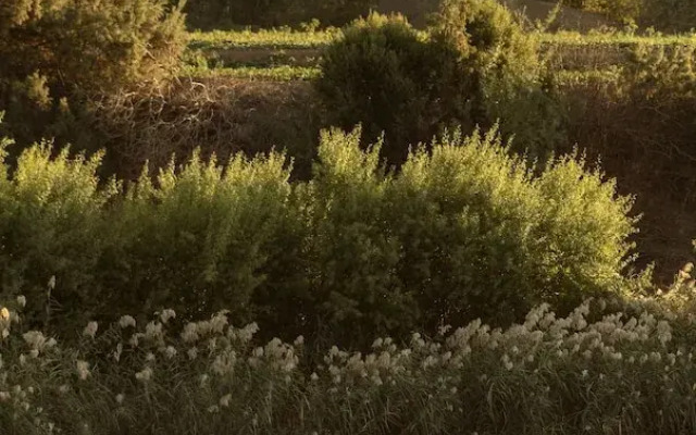 Orange River Rafting Lodge by Country Hotels