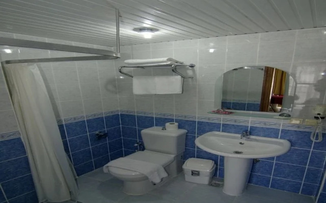 Guler Hotel	