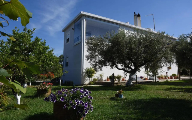 Mina Apartments