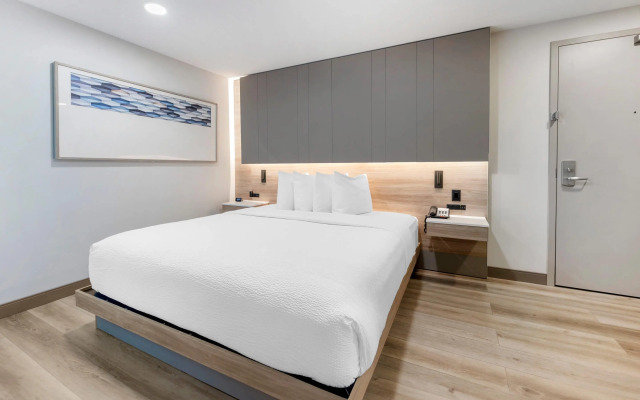 The Capitol Hotel Downtown, an Ascend Collection Hotel