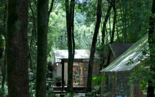 Tree Garden Homestay