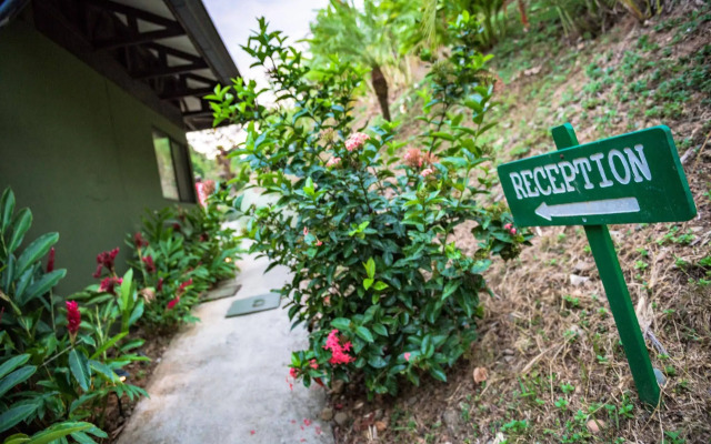 Tiki Villas Rainforest Lodge & Spa