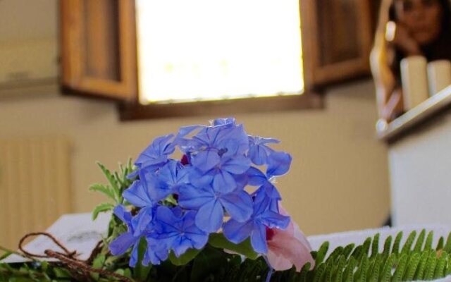 Buon Consiglio B&B