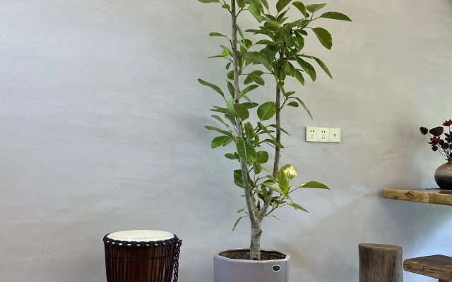 Anxia Lishe B&B, Xiandu Scenic Area
