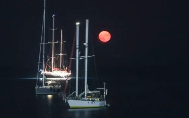 Sunrise Bay Apartments