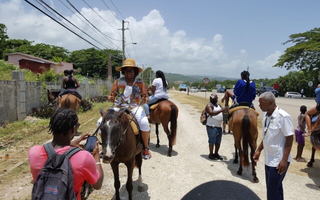 Ocho Rios Getaway Villa at The Palms