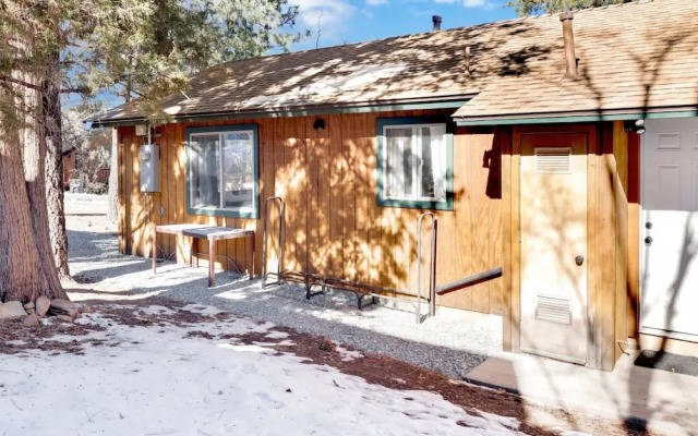 Sugar Bear Crossing #2496