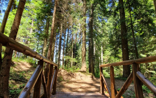 PinePino Borovets, aparthotel Borovets Gardens A60