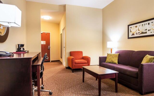 Comfort Suites Pecos