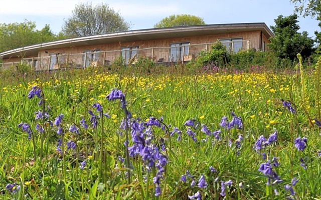 The Sanctuary Cornwall