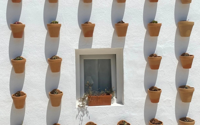 Apartamentos Sureda