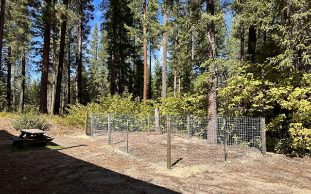 Thyme Out 2 Bedroom Home by NW Comfy Cabins by RedAwning