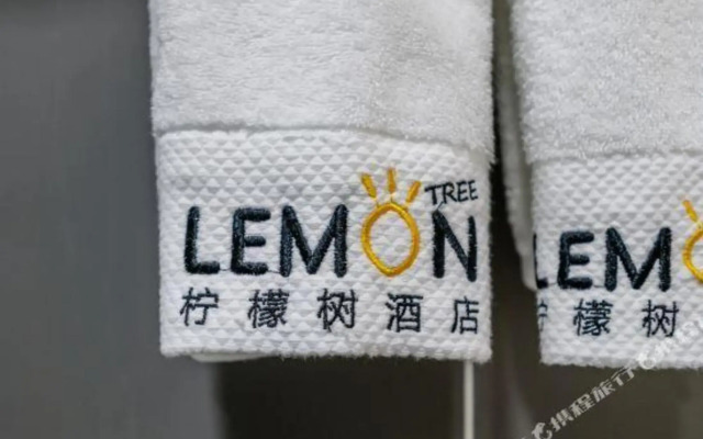 Lemon Tree Hotel (Xi'an Yongxingfang Chaoyangmen Subway Station)
