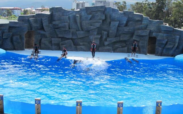 ORBI Sea Towers Studio