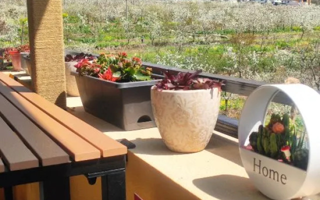 Hanyuan Liyuan Guesthouse