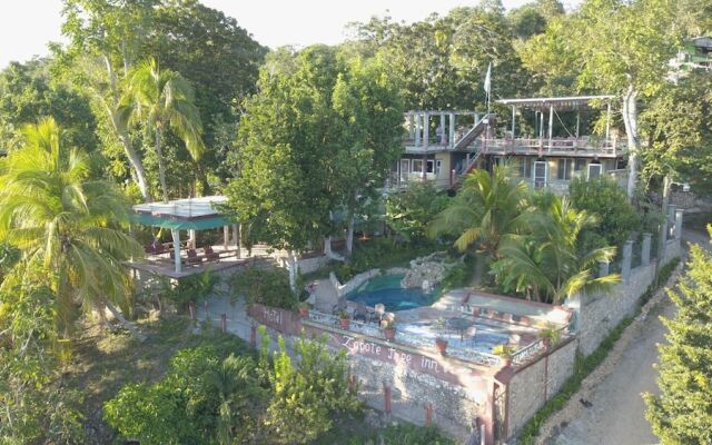 Zapote Tree Inn