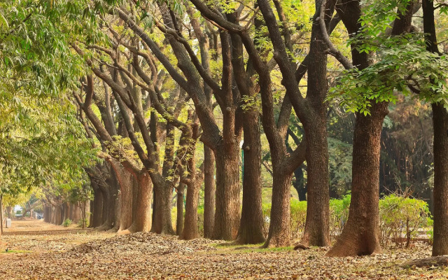 VANUSA RESIDENCY By Big Tree Hospitality