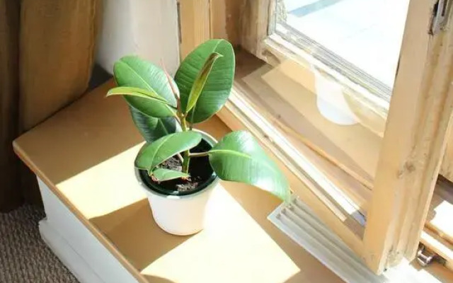 Hospedaje las Rocios