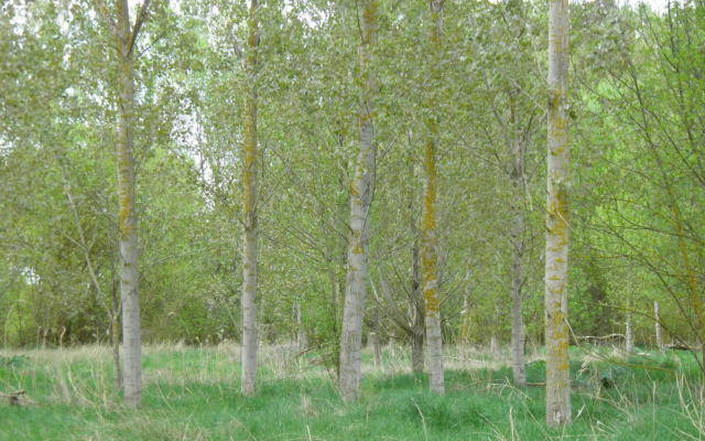 Hostal Catalina de Austria