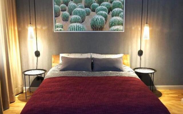 Kaktuss apartamenti Smiltene
