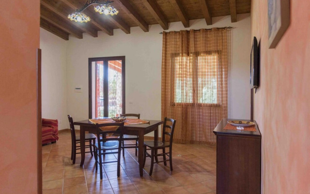 House surrounded by olive trees