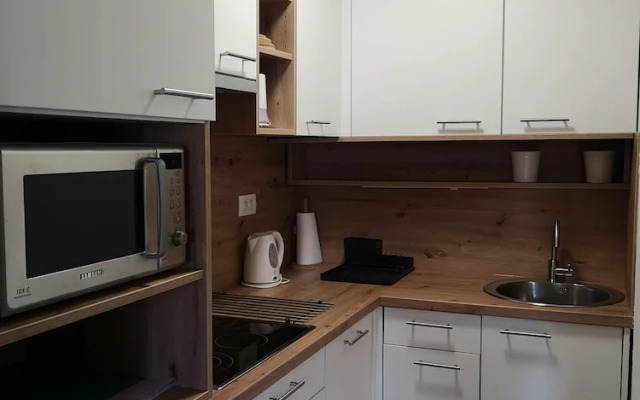Apartment Viki