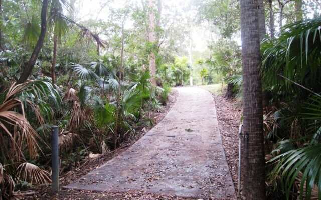SWR Rainforest Retreat 2