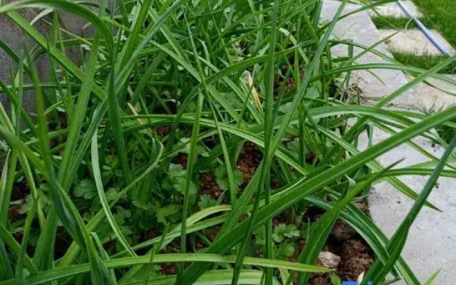 Feidong Longxi Homestay