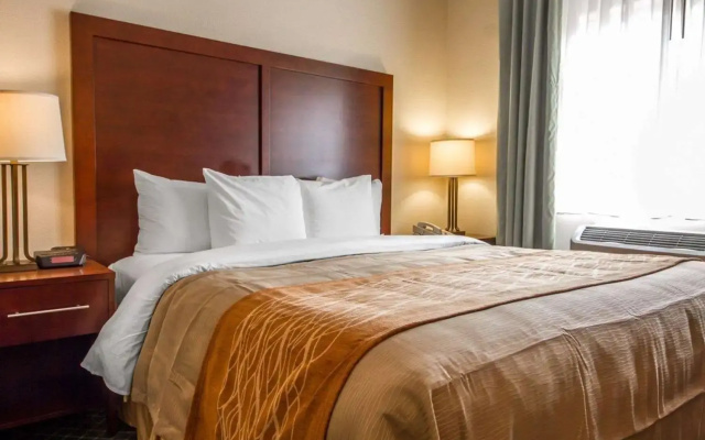 Comfort Inn & Suites Oakland Airport