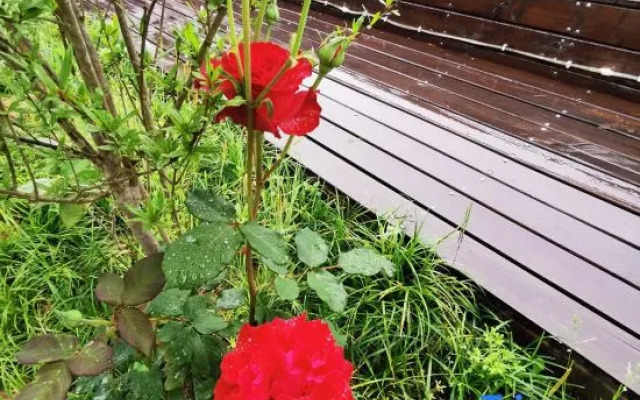 Yazhu Boutique Hostel