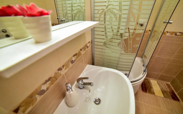 Apartament Central Silva