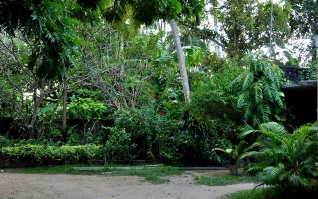 Green Corridor - Ahangama