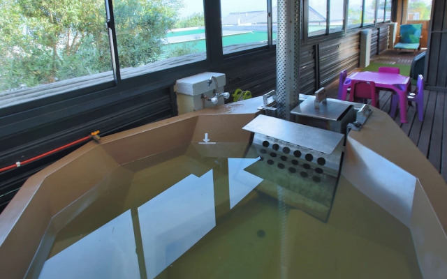 Klopdisselboom Langebaan 10-sleeper