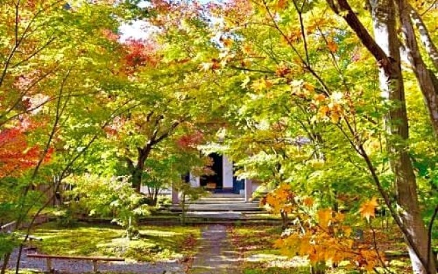Togari Onsen Alpine Plaza - Vacation STAY 02778v