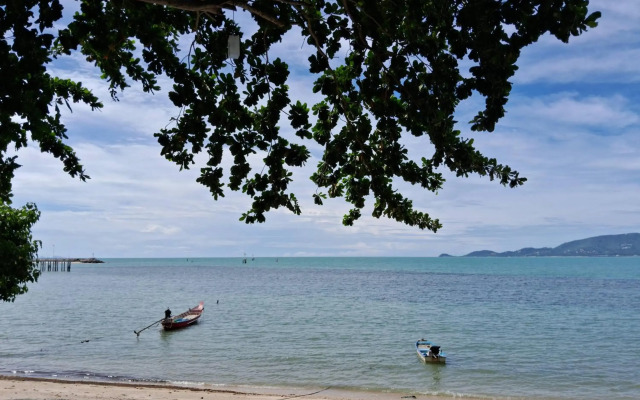@ Samui Haus