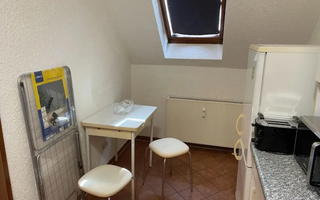 Terrace Apartment Saxony