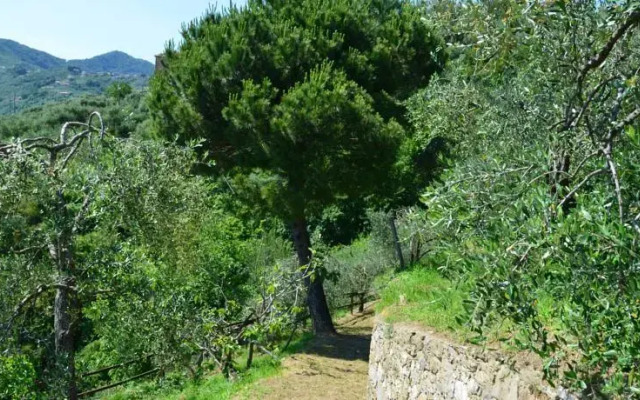 Villa delle Rose