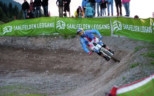 Animal -friendly Apartment in Leogang