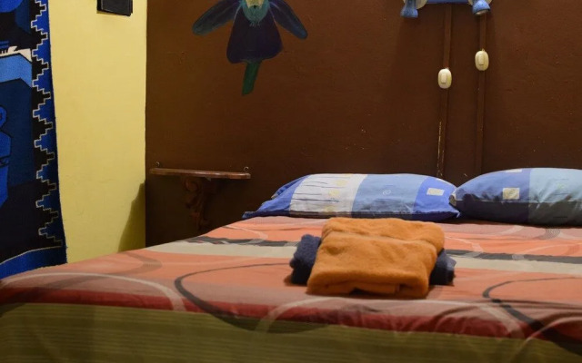 Secret Garden - Hostel