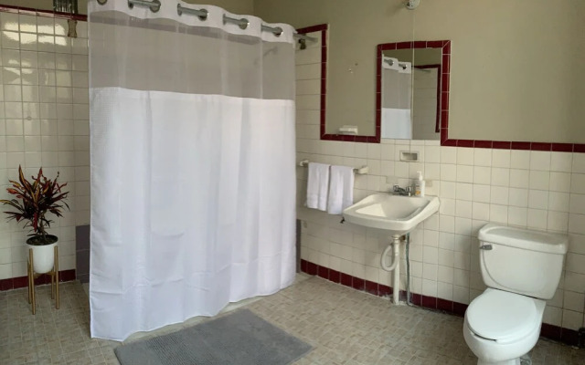Iturbide 500 Hostal - Hostel