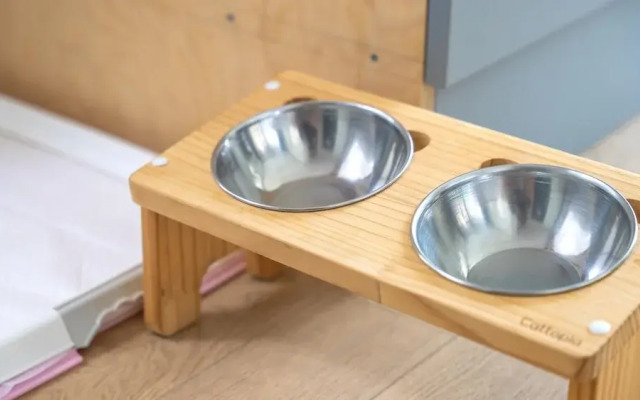 Gapyeong Highmong Pet-friendly Kids Pool
