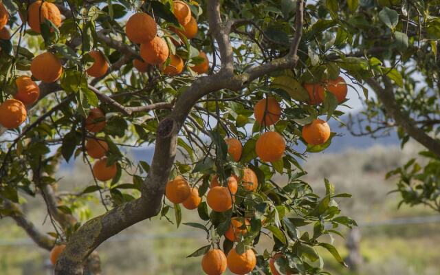 Azienda Agrituristica Bergi