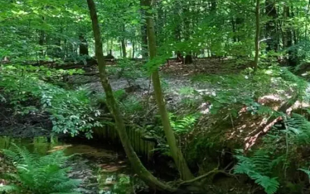 't Hertje