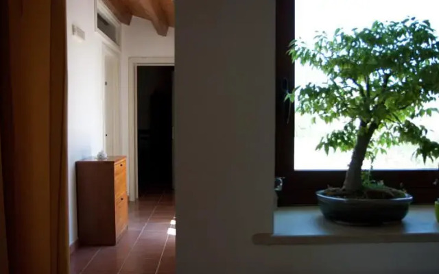 La Casa Del Conte Bed  Breakfast