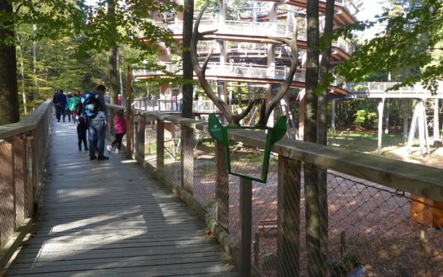 Steigerwald-Apartments