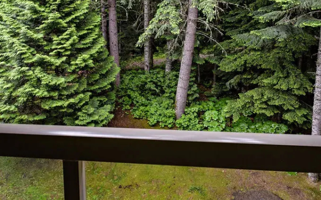 Woodrun Lodge