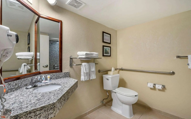 Comfort Inn & Suites St. Pete - Clearwater International Airport