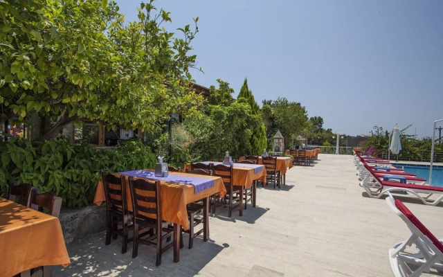 Silver Pine Hotel